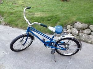 blue schwinn bike 1970